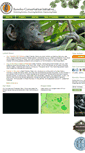 Mobile Screenshot of bonobo.org